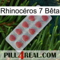 Rhinocéros 7 Bêta 18